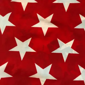 BOY SHORTS LOW RISE STARS & STRIPES/RED STARS