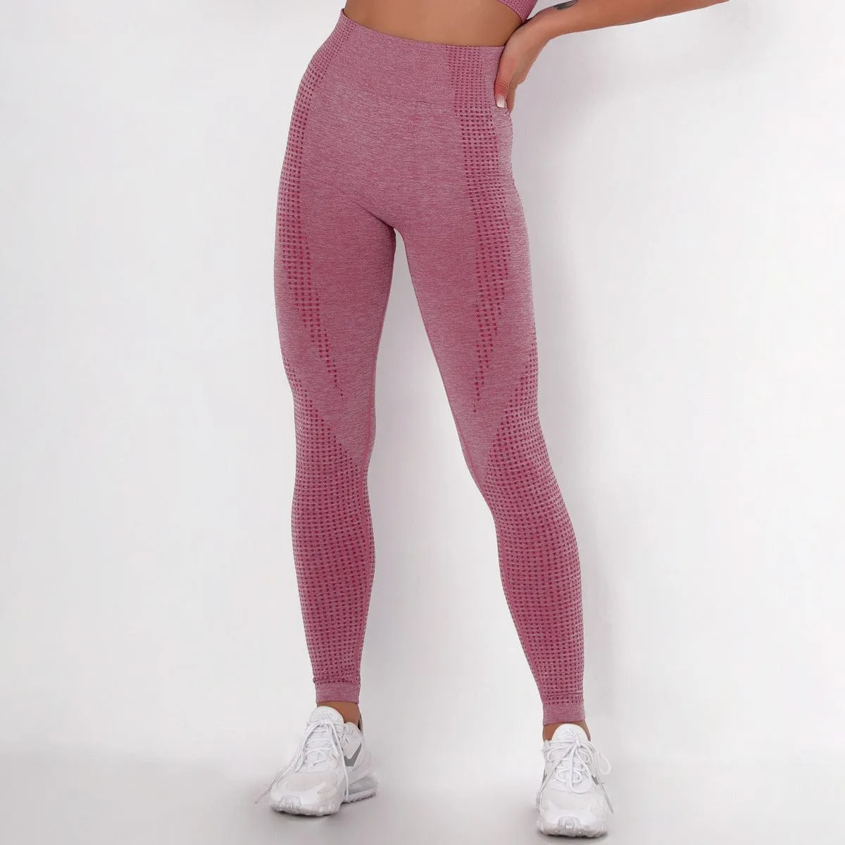 LLSoft Seamless Sports Leegings