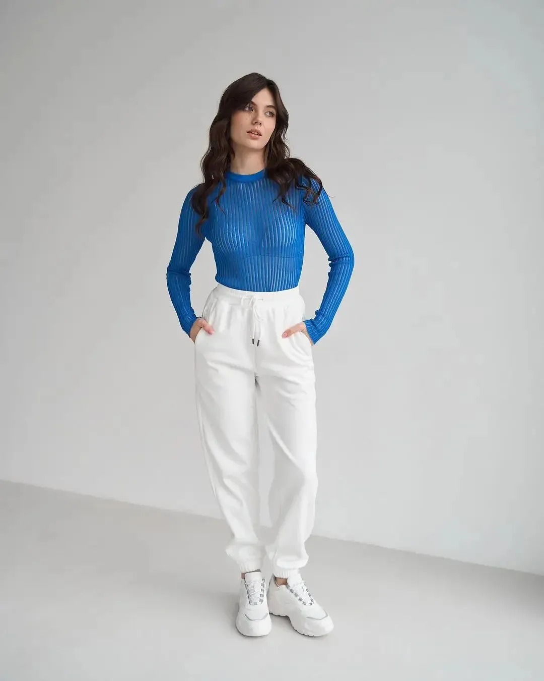 Long Sleeve triped See Through top