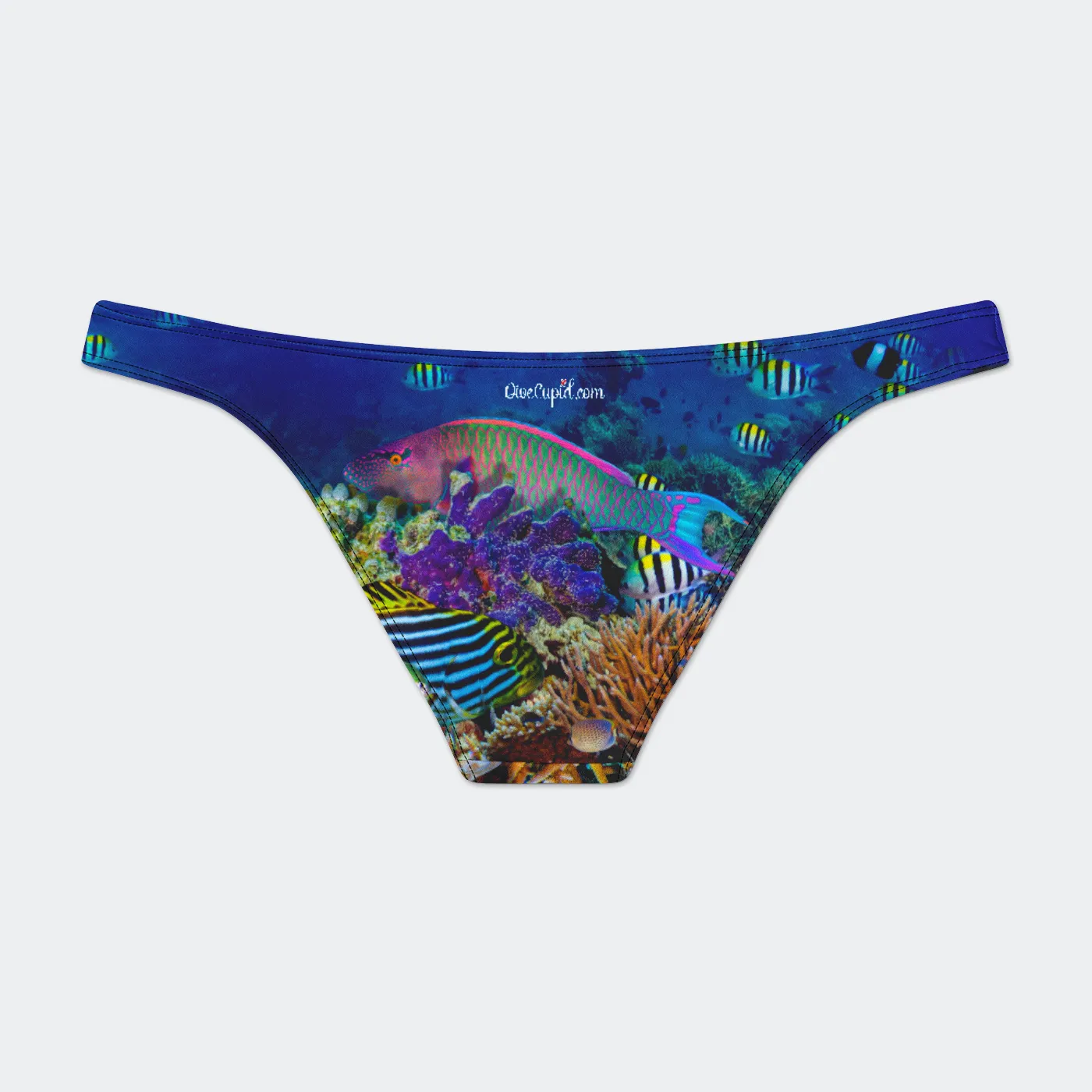 Parrotfish Low Rise Bikini Bottom Brief